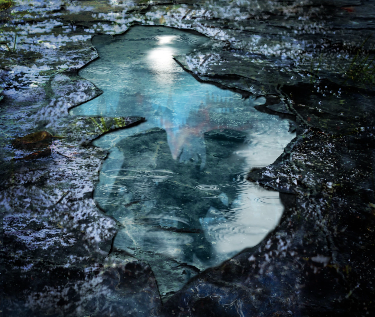 A muddy street puddle reflecting the distorted face of a creature, hinting at a vision from another place or time